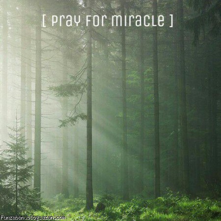 miracle