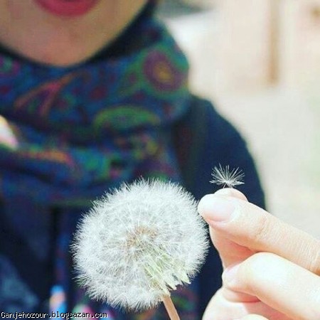 خوشبختی انسانهای خوب خوشبختی را تعقیب نمیکنند،زندگی میکنند