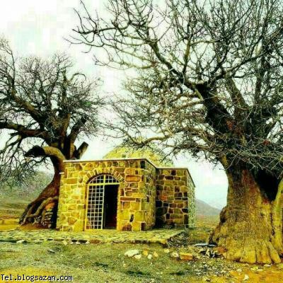 کانال تلگرام طبیعت,کانال تلگرام گردشگری,کانال تلگرام,معرفی کانال تلگرام