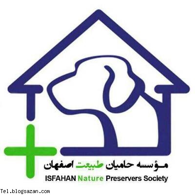 کانال تلگرام حیوانات,کانال تلگرام,معرفی کانال تلگرام