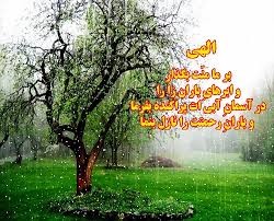 بدان حکمت چو باران آسمانی