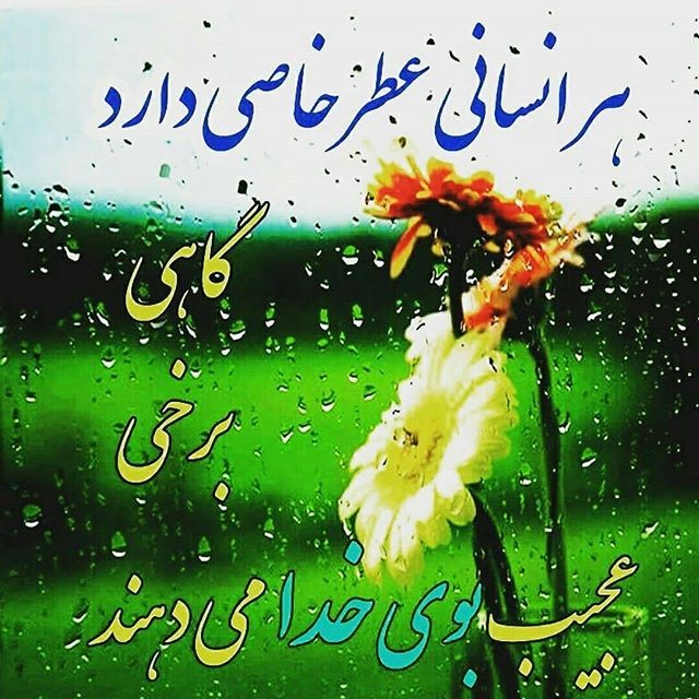 بشر خاکی به حکمت روی آور