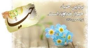 حیا جزوی ز ایمان با تو شاید