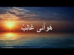 بدان بیچاره فردی شد در عالم