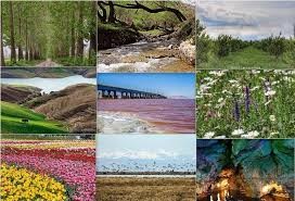 طبیعت هر وجودی چون بهاری