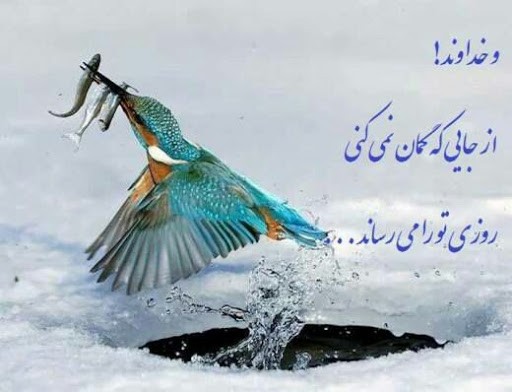 رعایت حقّ ناسی را به هر جا