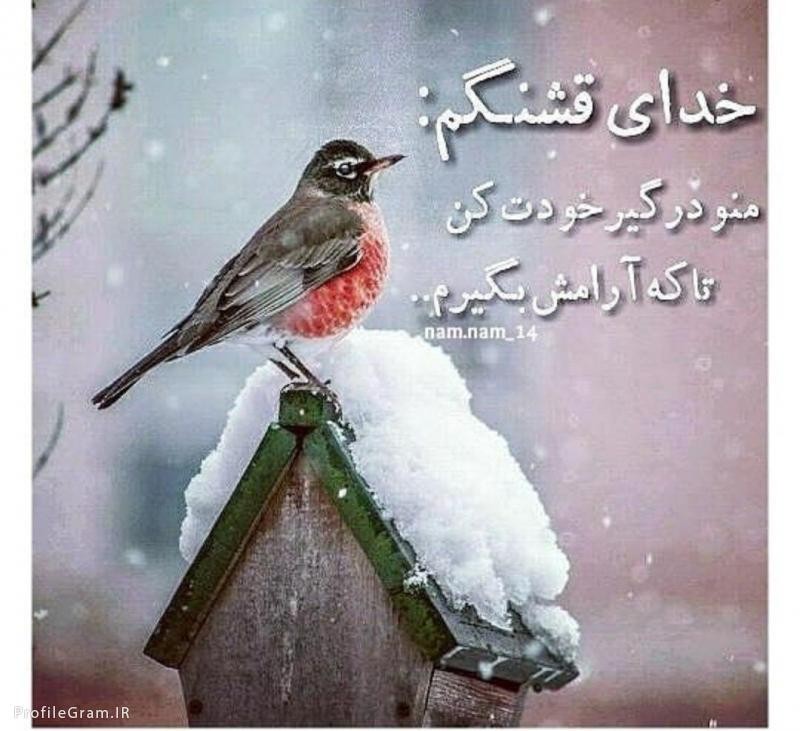 ز نفسی هان هوایی نفس شیطان
