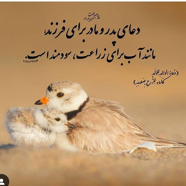 کنارم بود گر مادر خدایا