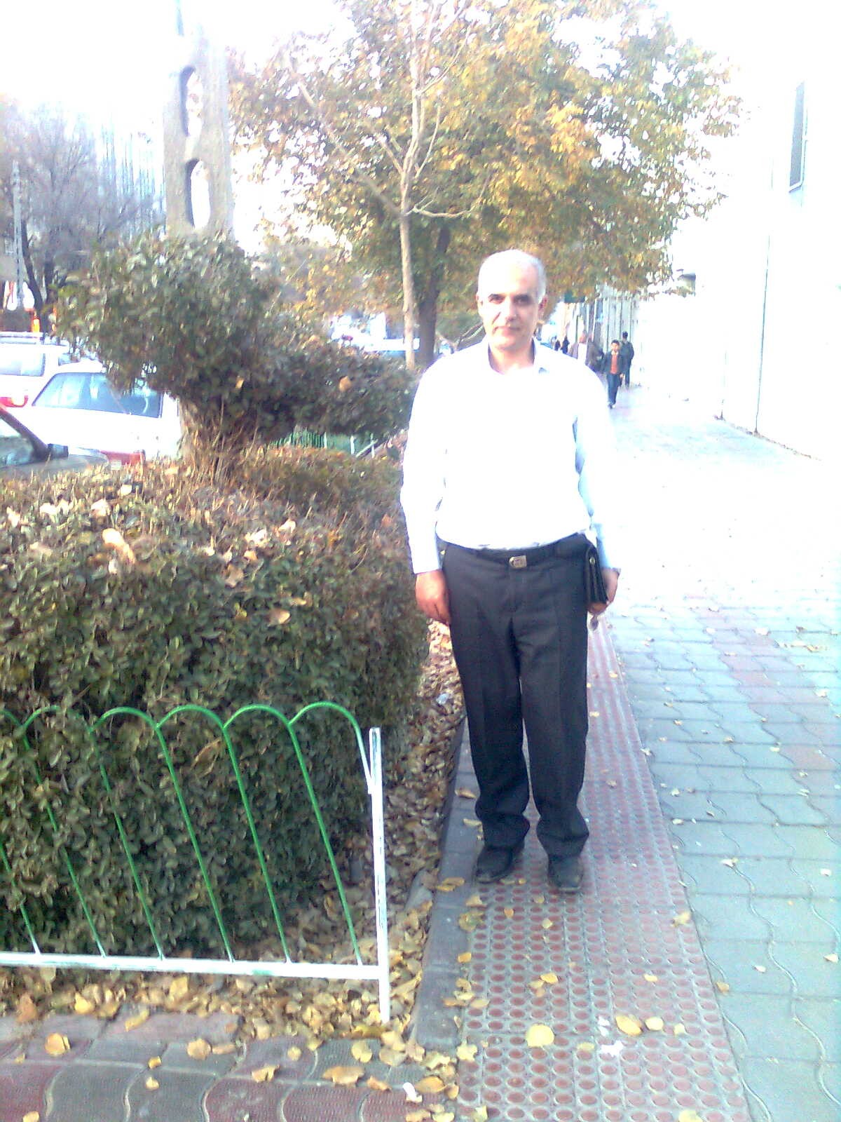 همچو آن یک نوعروسی آفتاب