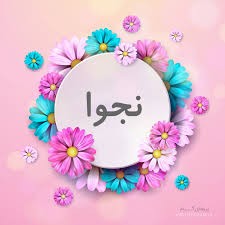 چون سلیمان خضر موسی انبیا