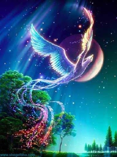 وابسته هجریم که در فکر وصالیم
