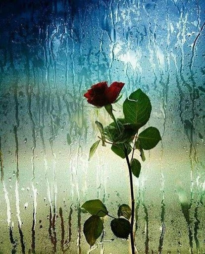 بسی به پای عزیزان ندای تو حیدی