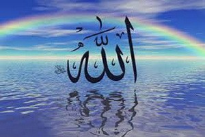 با توکّل پیشه کردی صبر را