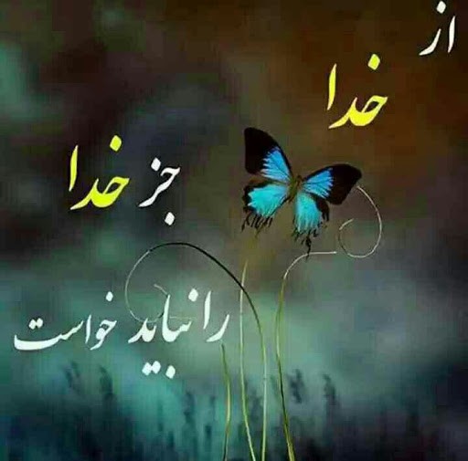 چو مؤمن پسندیده دارد صفات