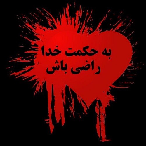 در فروتن قلب حکمت همچو کشت