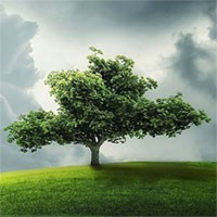 منزوی لا عزلتی را اختیار