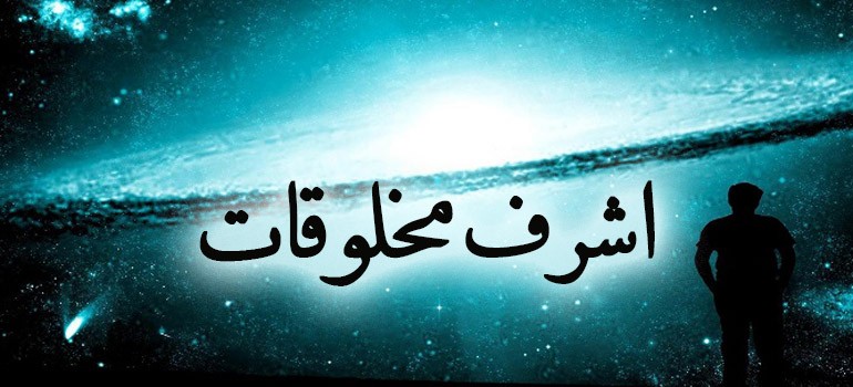 به زیتون روغنی روشن چراغی