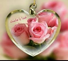 علم حاصل از یقین را خواهشی