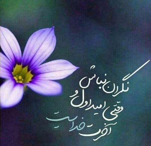 به معصوم حالی به دور از حرام