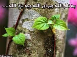 خریدار ، مردان عاشق بلا