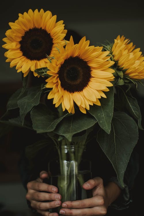 پنجره‌ ای شد سماع سوی گلستان تو [آپدیت شد]