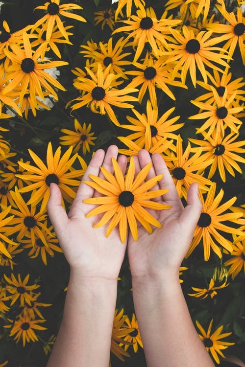 دیگر نه جوانم که جوانی کنم، ای دوست [آپدیت شد]