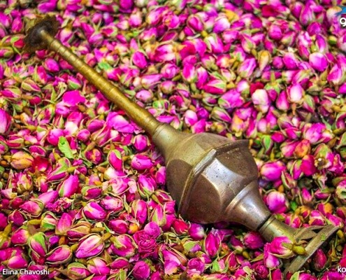  گلاب گیری [آپدیت شد]