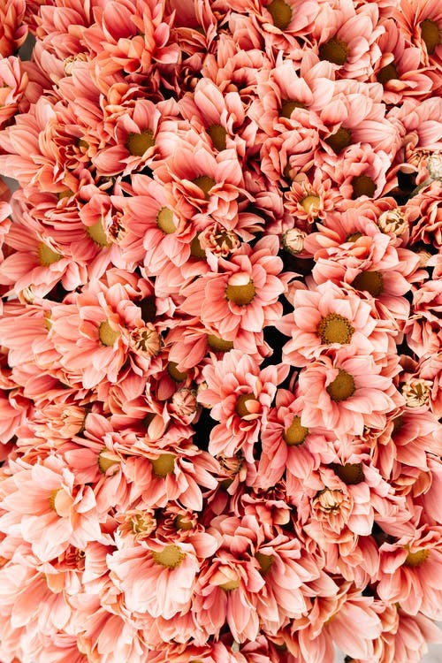بسی خوشتر که از مه تا بماهی