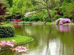  جلوه گر هر یک به زیبایی نما