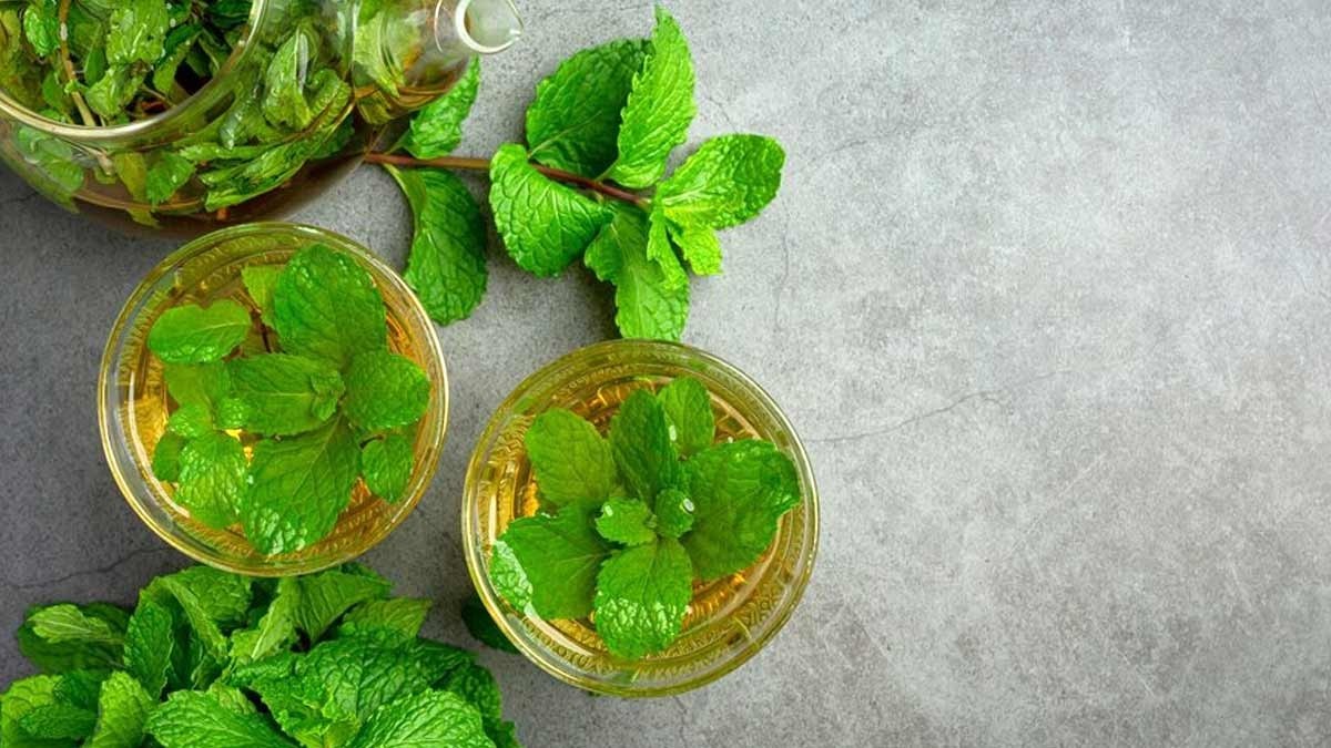 آیا برگ نعناع برای آسم مفید است؟