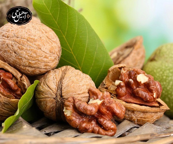 خواص گردو برای فشار خون + عکس