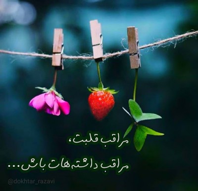 چون که غالب نفس گشتی لا خطا