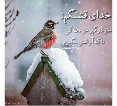 ز نفسی هان هوایی نفس شیطان