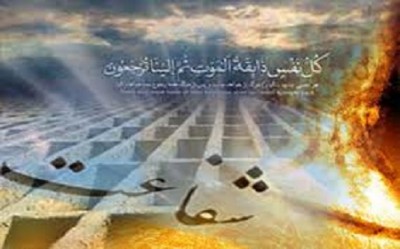 گر گنهکارم به درگاه آمدم