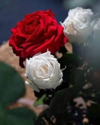 بس گوارا هر عطایت ربنا