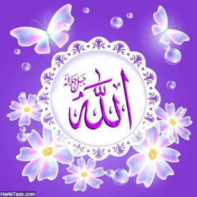 خود کنی صامت چه چیزی ادّعا
