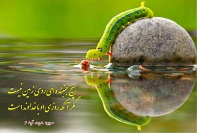 به هر خلقی دهد روزی خداوند