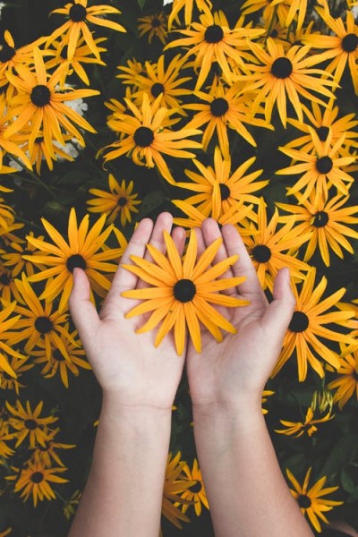 دیگر نه جوانم که جوانی کنم، ای دوست [آپدیت شد]