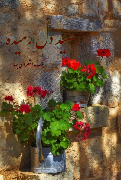 صيد دل رمیده 