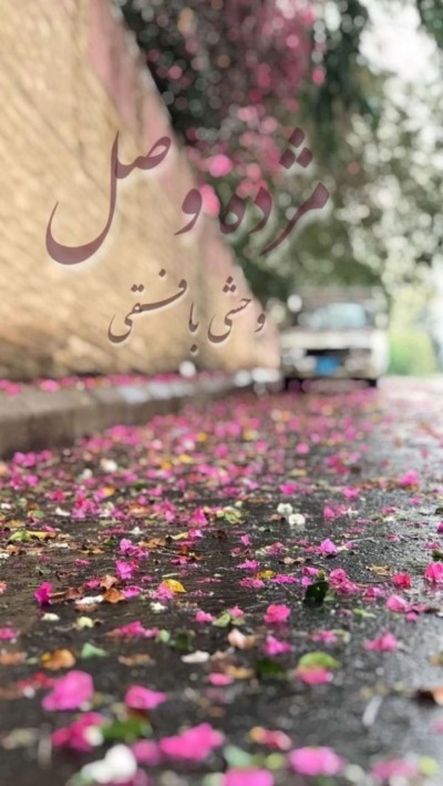 مژده وصل