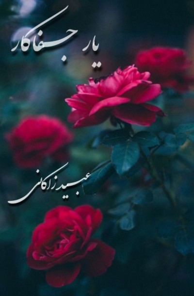 یار جفاکار