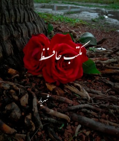 مکتب حافظ