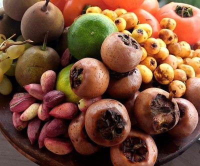 خواص شگفت انگیز میوه های پاییز